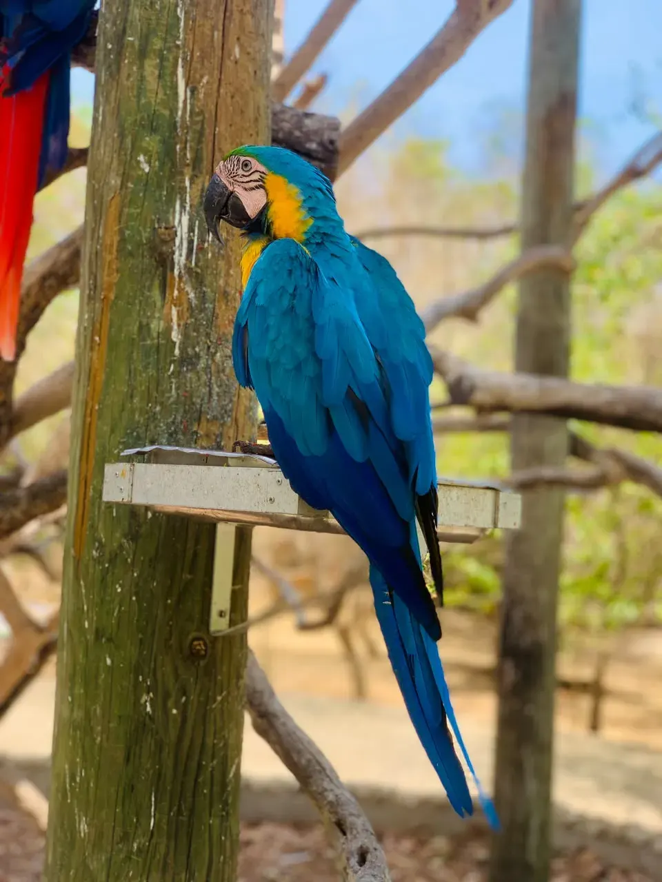 National Aviary tour in Cartagena — photo 2 of 5