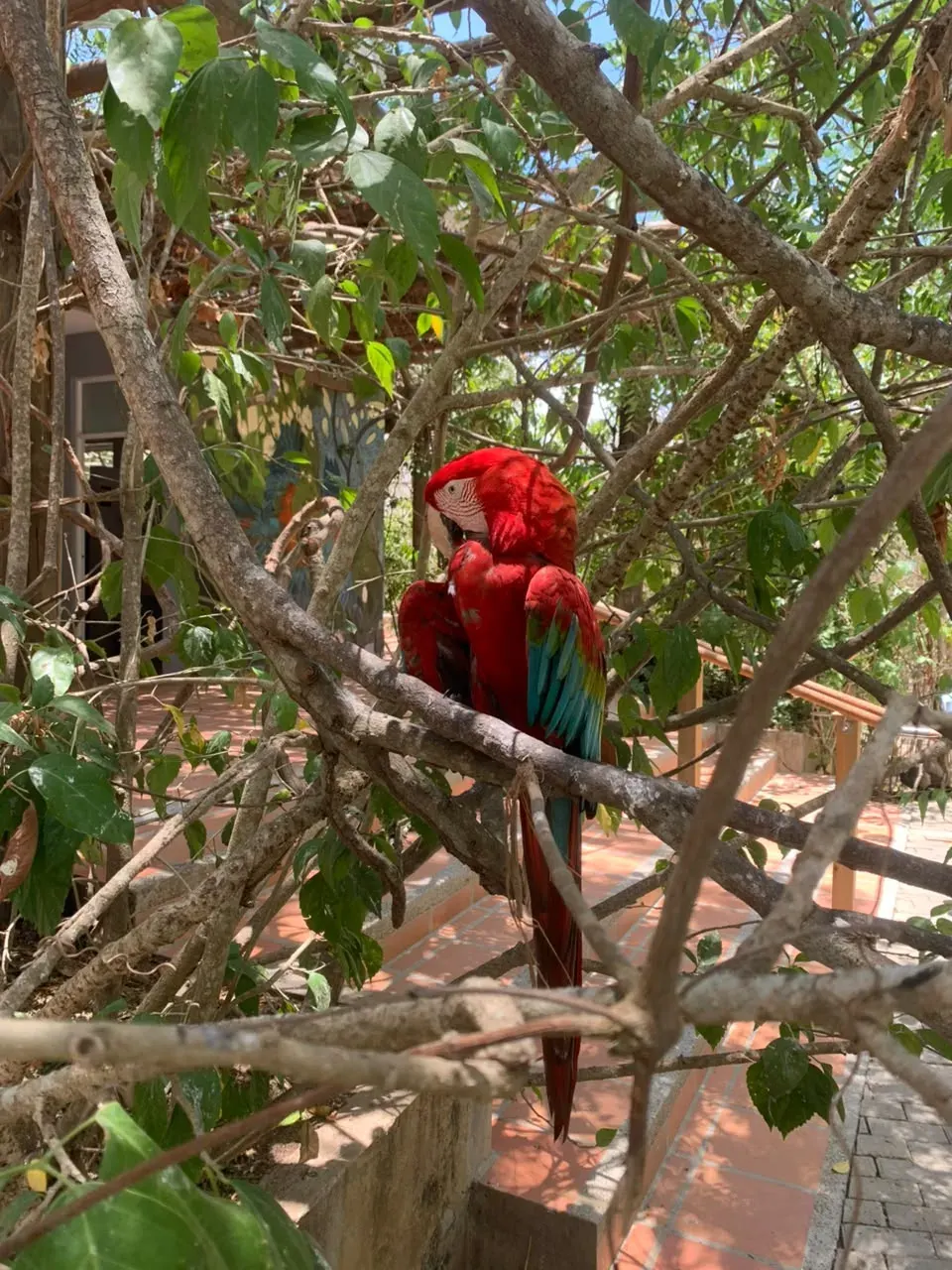 National Aviary tour in Cartagena — photo 3 of 5