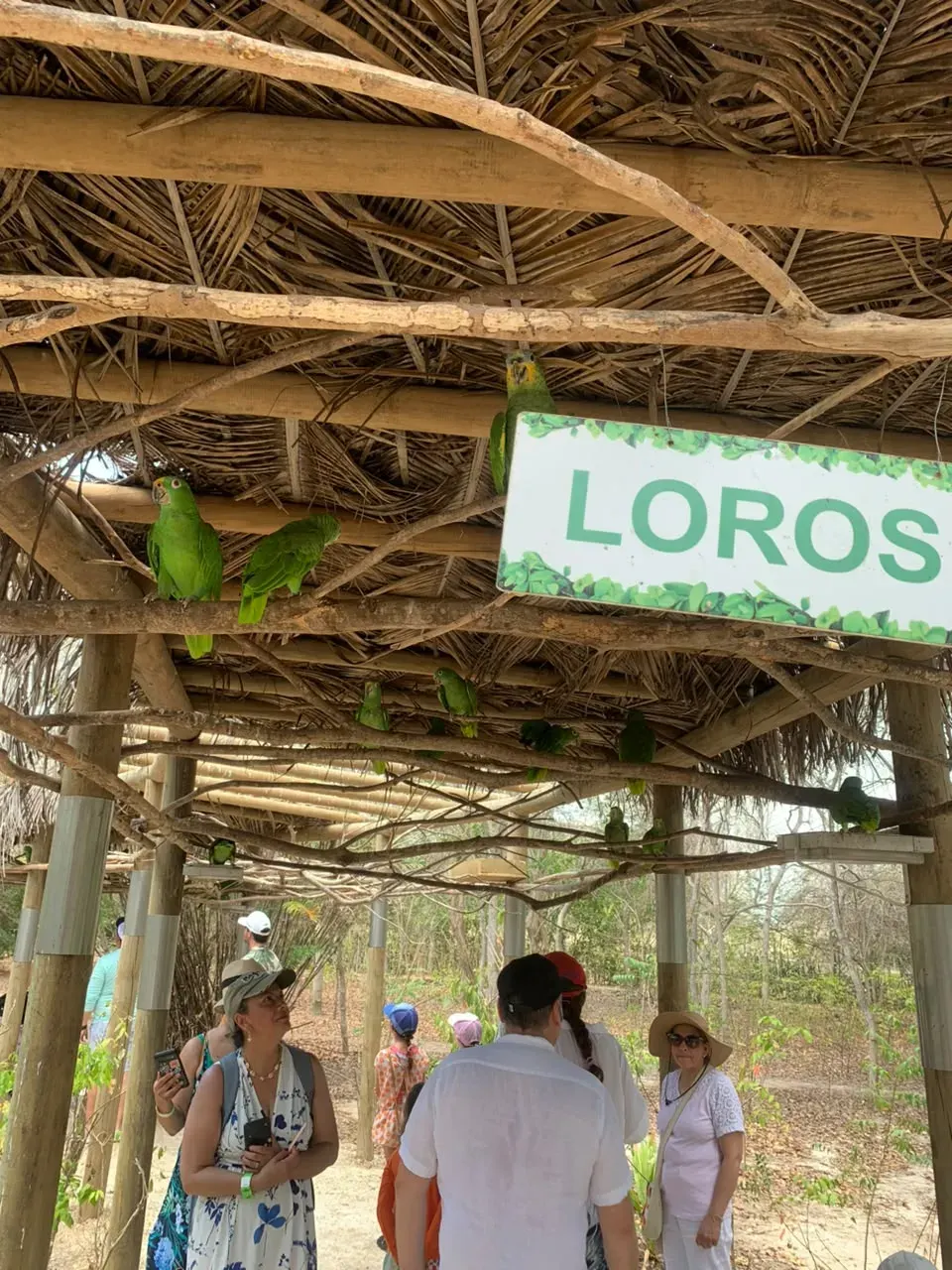 National Aviary tour in Cartagena — photo 5 of 5
