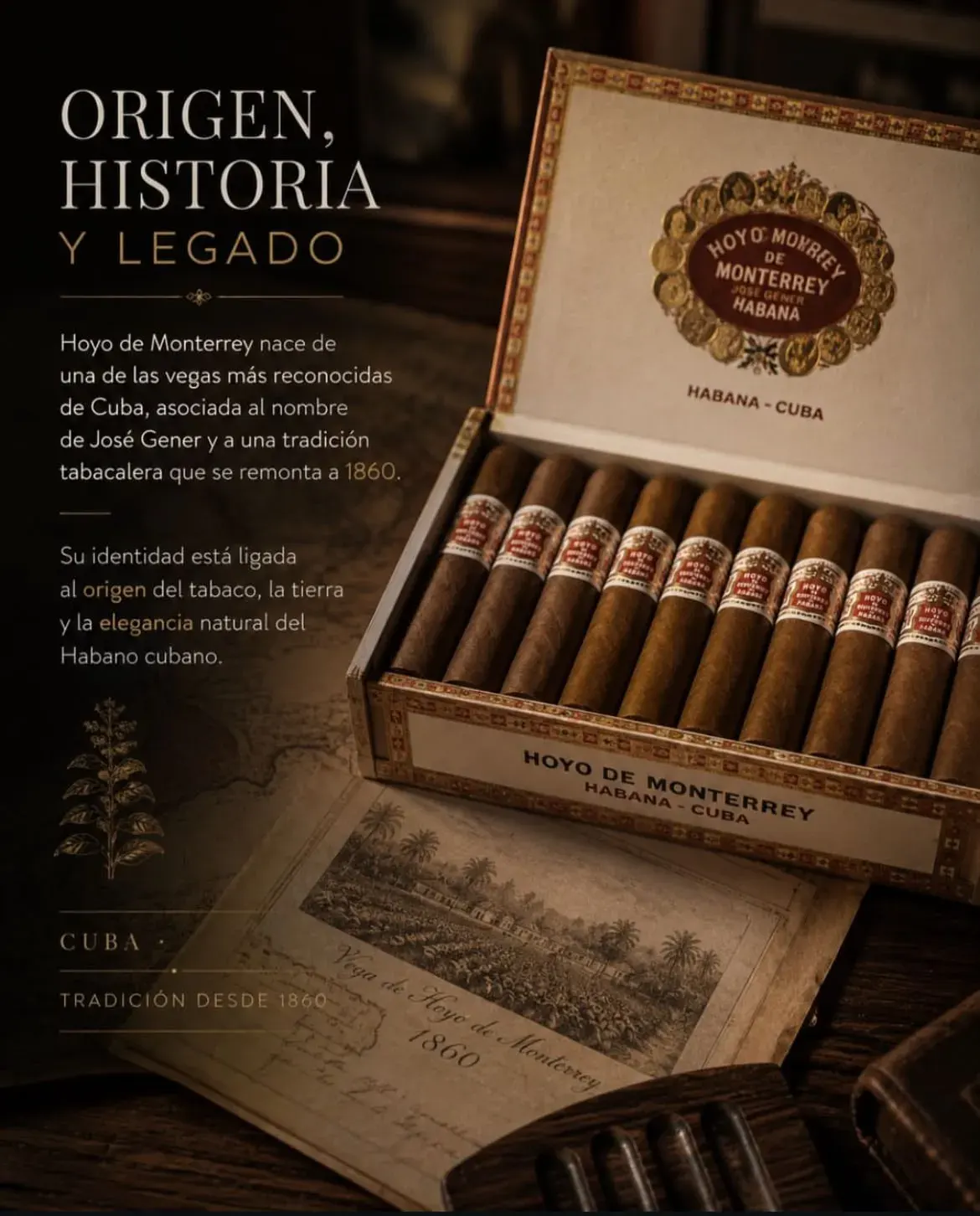Cigar & rum tasting in Cartagena — photo 4 of 5