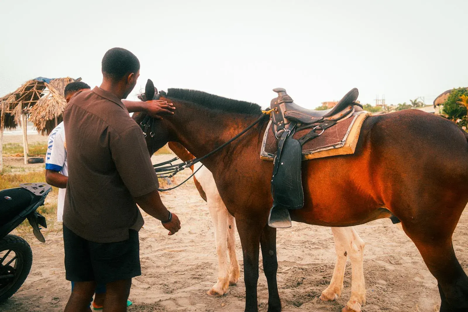 Horseback ride on the beach in Cartagena — photo 4 of 4