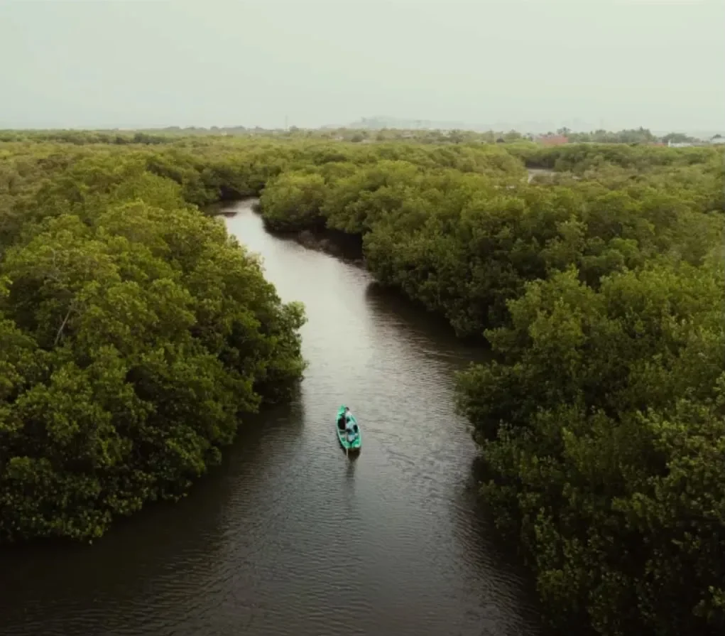 Mangrove eco tour in Cartagena — photo 1 of 7