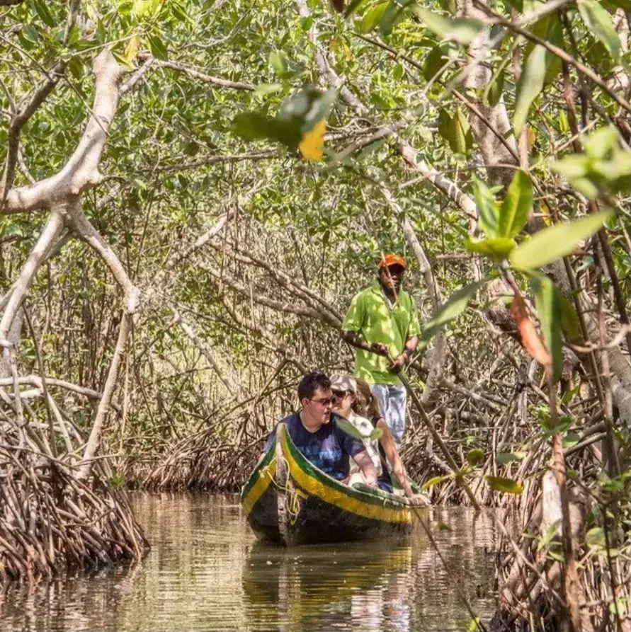 Mangrove eco tour in Cartagena — photo 3 of 7