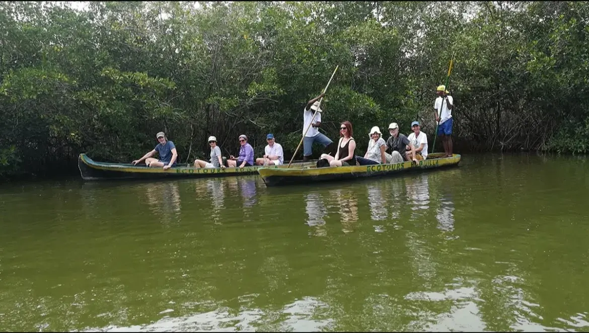 Mangrove eco tour in Cartagena — photo 6 of 7